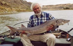 image of sturgeon