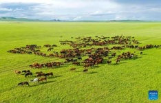 image of grassland