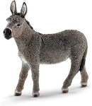 image of animal