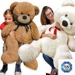 image of teddy_bear