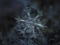 image of snowflake