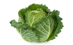 image of cabbage #23