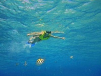 image of snorkel
