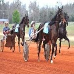 image of harness_racing #0