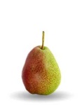 image of pear #19