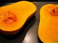 image of butternut_squash #26