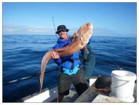 image of tench