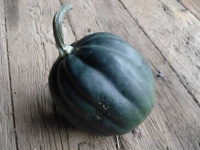 image of acorn_squash