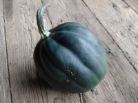 image of acorn_squash #8