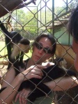 image of capuchin