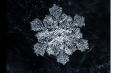 image of snowflake