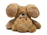 image of teddy_bear