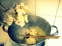 image of cauliflower