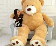 image of teddy_bear