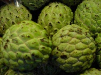 image of custard_apple #9