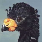 image of bird