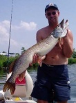 image of barracouta