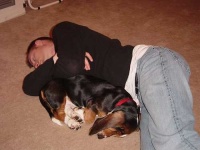image of basset