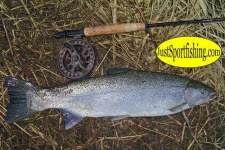 image of reel