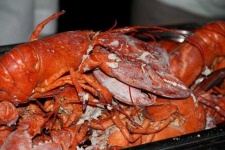 image of lobster