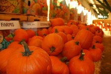 image of grocery_store