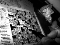 image of crossword_puzzle
