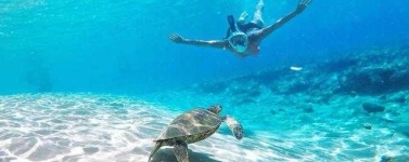 image of snorkel