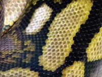 image of texture