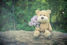 image of teddy_bear