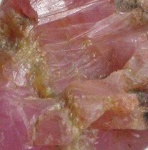 image of texture