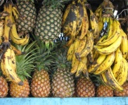 image of pineapple #1