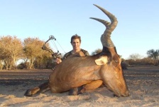 image of hartebeest