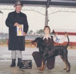 image of black_and_tan_coonhound #27