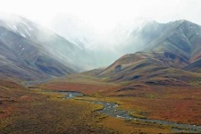 image of tundra