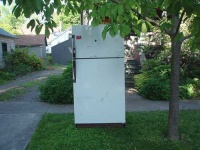 image of refrigerator