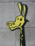 image of animal