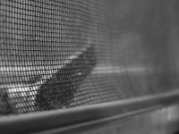 image of window_screen