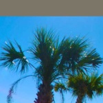 image of material