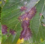 image of texture