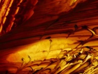 image of texture