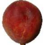image of fruit