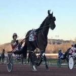 image of harness_racing #29