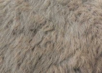 image of texture