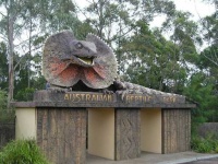 image of frilled_lizard