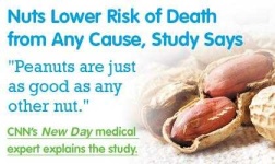image of peanut