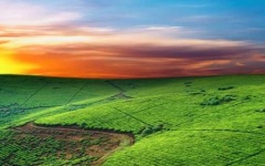 image of grassland