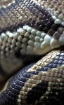 image of texture