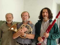 image of french_horn