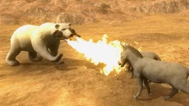 image of animal