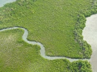 image of wetland